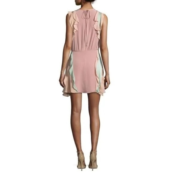 Alexis Keely Colorblock Ruffle Mini Dress ✨ - Picture 6 of 11